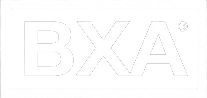 BEFORE X AFTER AUCTION SOLUTIONS LLC